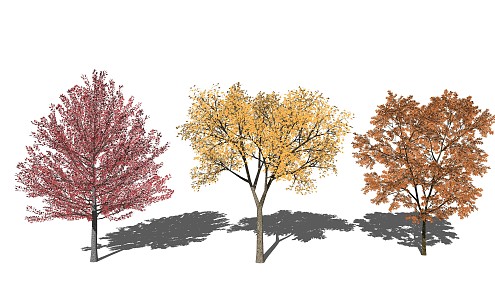 Modern Tree Landscape Tree Yellow Leaf Tree Plant 3d model