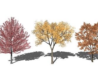 Modern Tree Landscape Tree Yellow Leaf Tree Plant 3d model