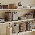 Stylish Bags And Suitcases Collection Organized On Shelves With Various Designs