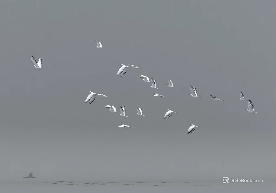 A Flock of Seagulls Flying Gracefully in Gray Sky Over Calm Water 3d model 