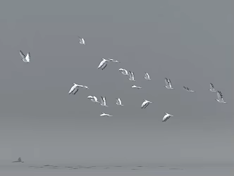 Modern Birds 3d model