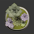 Succulent Plants in White Bowl with Purple Flowers Green Leaves and Lush Moss