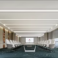 Modern Conference Room Interior With Long Table White Chairs Bookshelves Large Windows And Blue Carpet
