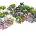Colorful Shrub Varieties In Garden With Decorative Stones And Mixed Flowers