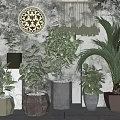 Stylish Bonsai Potted Plants In Geometric Planters With Gray Wall Decor