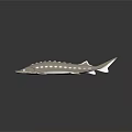 Aquatic Animal Silver Shark Fish With Glowing Spots And Fins On Dark Reflective Surface