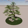 Lush Green Arbor with Stones and Small Plants in Circular Grass Lawn