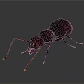 3D Rendered Dark Brown Ant With Long Antennae On Gray Background