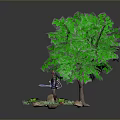 Woman Standing Under Green Tree With Sword On Grassy Area With Stones