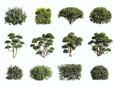 Various Types of Garden Shrubs with Different Green Foliage Shapes for Landscaping Design 3d model