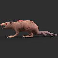 Game Movie Character Mutant Rat With Bumpy Pink Skin Red Eyes Open Mouth Long Tail