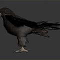 Modern Eagle 3d model