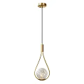 Elegant Pendant Lights with Golden Frames and Transparent Spherical Shades for Home Decor