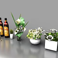 Elegant Wine Bottles and Glasses Display with Green Plants and Ceramic Vases