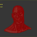 Medical Device Human Head Anatomical Model Displaying Muscle Vessel Structure For Medical Education