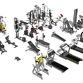 Various Sports Equipment Collection With Treadmills Dumbbells Barbells And Exercise Machines
