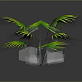 Vibrant Lush Palm Plant With Large Green Leaves And Yellow Edges