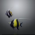 Two Vibrant Striped Fish With Long Fins Featuring Yellow Black And White Patterns