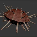 Organ And Hair Like Structures On Red Spiky Seashell With White Spines