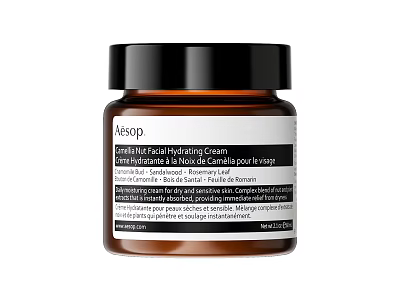 Aesop Camellia Nut Facial Hydrating Cream With Camelia And Rosehip Seed Oil 3d model