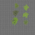 Various Arbor Trees With Different Sizes And Foliage On Grid Pattern Ground 3d model