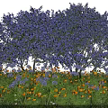 Vibrant Purple Flowering Trees With Surrounding Yellow And White Small Flowers In Garden