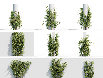 Modern Vine 3d model