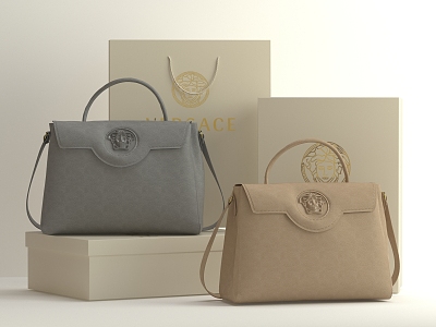 Women's Bag Handbag Light Luxury French Brand Jewelry Clothing Leather Luxury Fashion Versace Light Luxury Bag British Brand 3d model