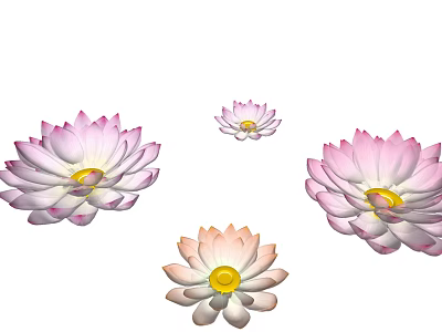 Modern Lotus 3d model