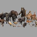 Modern Animals Forest Animals 3d model