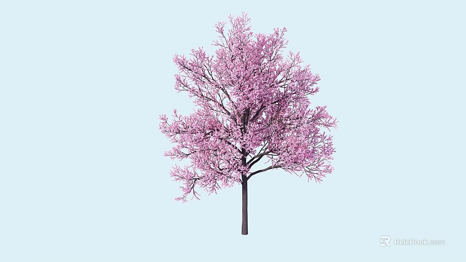 Pink Flowering Tree with Dark Trunk and Lush Branches on Light Blue Background 3d model 