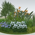 Vibrant Garden Flowers With Purple White Blooms Green Leaves And Tropical Plants