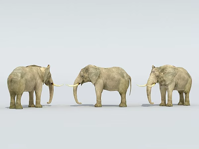 Three Reptile Crocodiles Standing Together With Scaly Skin And Long Snouts 3d model