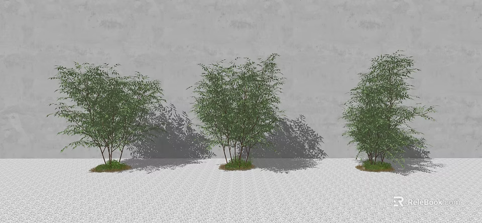 Three Trees with Green Leaves Against Gray Wall on White Gravel and Casting Shadows 3d model 