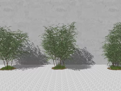 Three Trees with Green Leaves Against Gray Wall on White Gravel and Casting Shadows 3d model