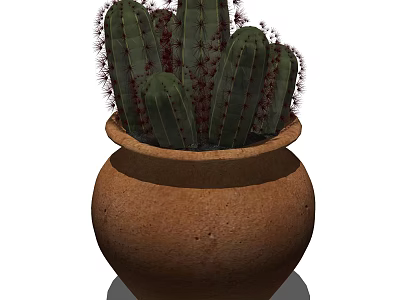 Green Cactus Bonsai Potted Plant in Brown Clay Pot with Spiky Stems 3d model