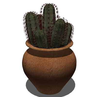 Green Cactus Bonsai Potted Plant in Brown Clay Pot with Spiky Stems 3d model