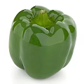 Fresh Green Bell Pepper Vegetable With Smooth Skin And Vibrant Color
