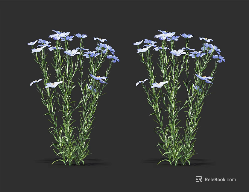 Fresh Blue and White Flowers with Green Stems Two Bouquets on Black Background 3d model 