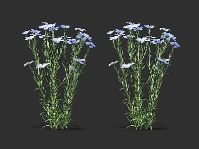 Fresh Blue and White Flowers with Green Stems Two Bouquets on Black Background 3d model