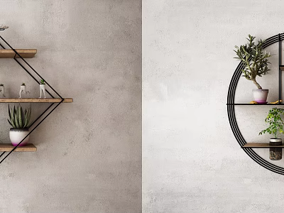 Decorative Ornament Combination Geometric And Circular Metal Wood Shelves With Succulents Green Plants And Vases 3d model