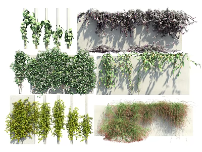 Various Decorative Vines Featuring Hanging Climbing Green Purple Trailing Plants 3d model