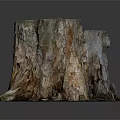 Natural Wooden Tree Stump Decor Piece With Rough Surface And Wood Grain Texture