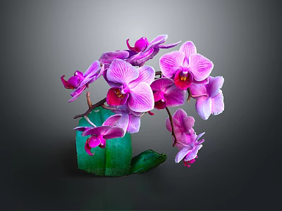 Elegant Pink Purple Orchid Flower Arrangement In Green Vase For Garden Decor 3d model