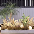 Stylish Shrubs in Modern Landscape Design With Ornamental Plants and Decorative Lights