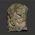 Natural Wood Stone with Moss Covered Rough Surface and Natural Rock Texture