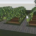 Rural Countryside Garden With Arch Trellis Melons And Stone Pathway