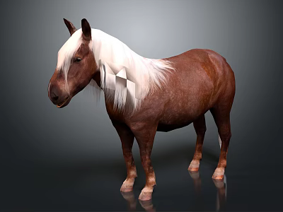 Brown And White Horse With White Mane Standing On Dark Background 3D Render 3d model