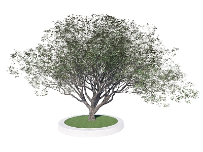 Landscape tree big tree old tree pool 3d model