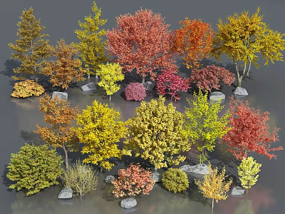 Diverse Colored Arbor Trees With Red Yellow Green Foliage And Decorative Stones 3d model